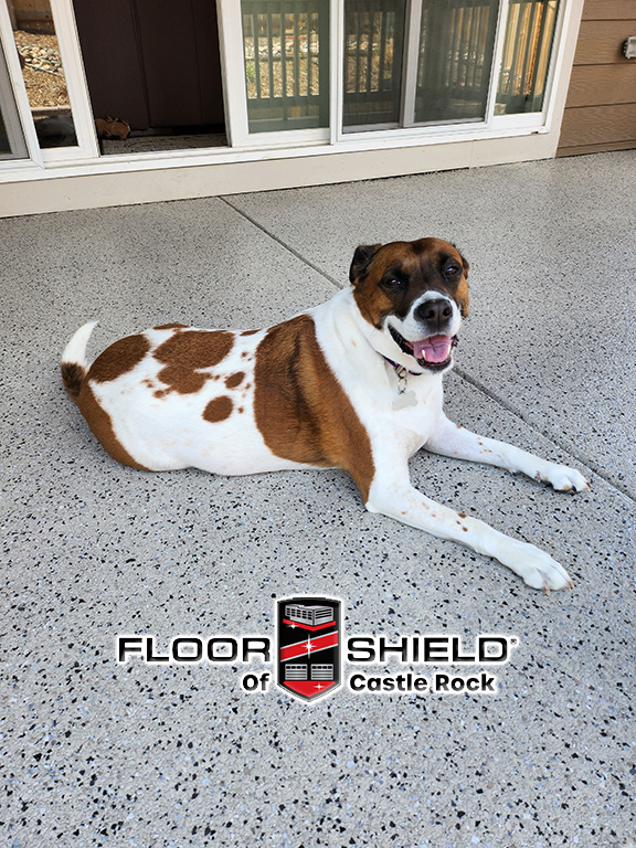 Castle Rock Patio Ready to Entertain with Floor Shield Concrete Coatings
