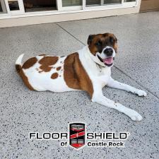 Castle Rock Patio Ready to Entertain with Floor Shield Concrete Coatings thumbnail